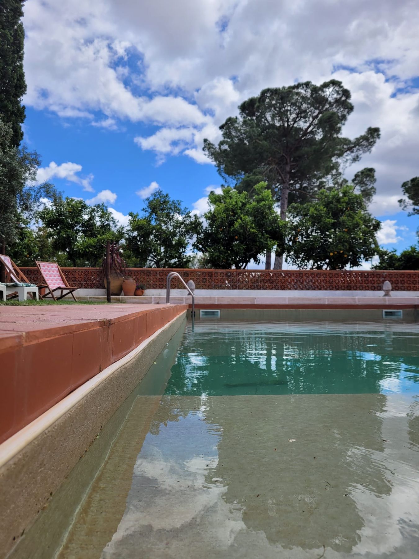 Piscina e pinheiro manso